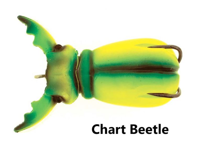 Supernato-Beetle_191-Chart-Beetle-Top