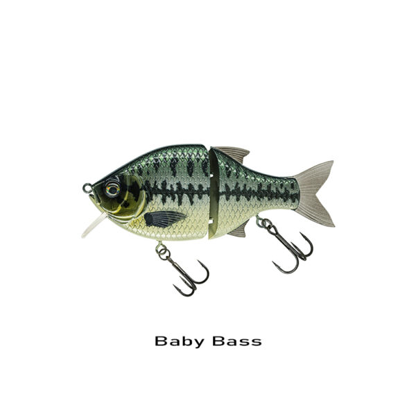 baby bass