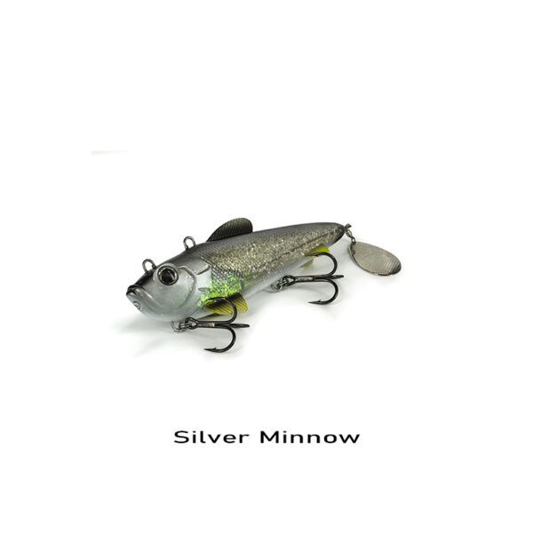 silver minnow
